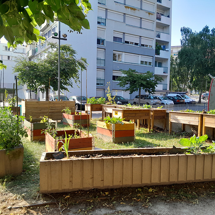 Bacs en pied d'immeuble