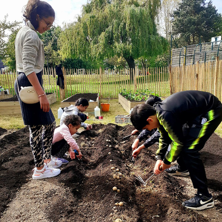 Animation plantation